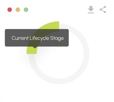 current-lifecycle
